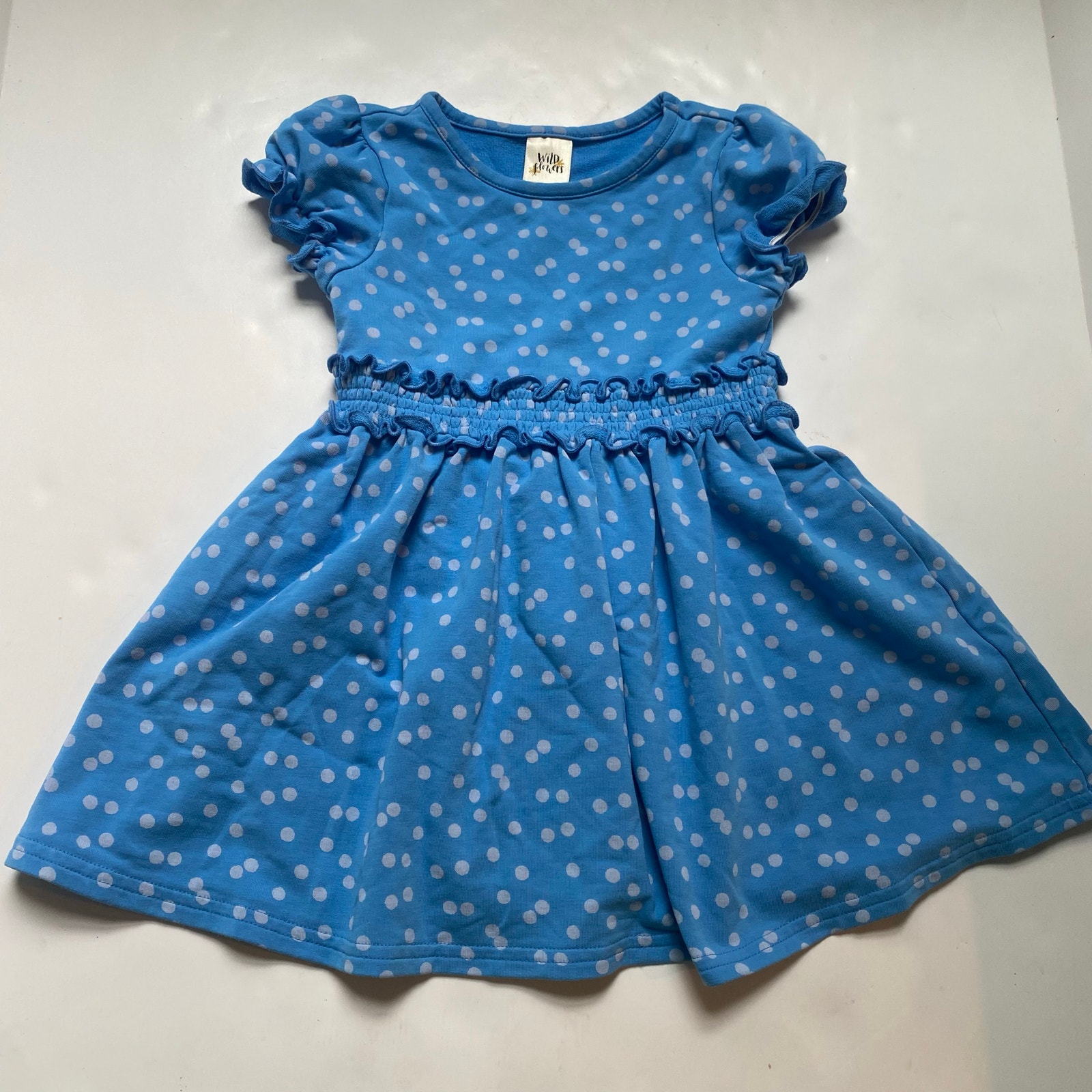 Wildflowers Blue Polka Dot Dress